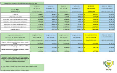 Escala salarial noviembre 2024-enero 2025